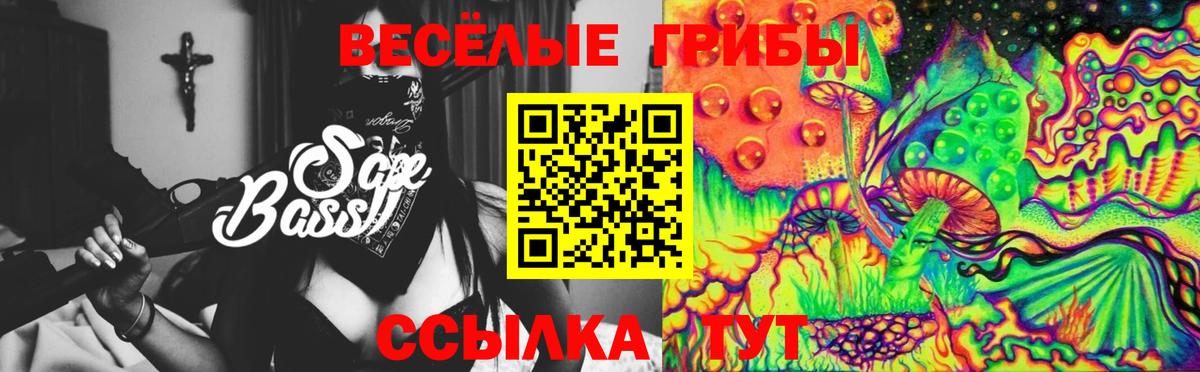 Псилоцибиновые грибы мухоморы Жигулёвск