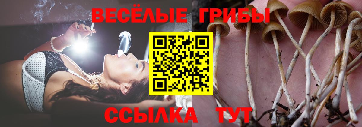 Галлюциногенные грибы Cubensis  Галлюциногенные грибы ЛСД  Жигулёвск  как найти закладки  Вход с VPN 
